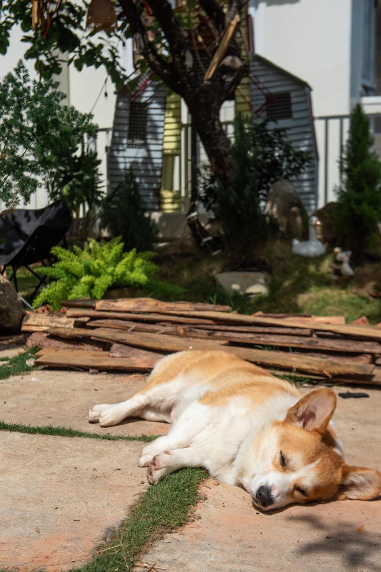 Chai Nho Homestay Da Lat Buitenkant foto